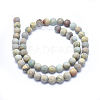 Natural Aqua Terra Jasper Beads Strands G-N0128-48F-8mm-2