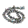 Natural Freshwater Shell Beads Strands BSHE-H018-07E-2