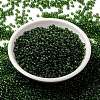 MIYUKI Round Rocailles Beads SEED-X0055-RR0158-2