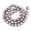 Natural Cultured Freshwater Pearl Beads Strands PEAR-N012-05Y-02-3