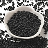 Glass Frosted Seed Beads SEED-K009-05B-03-2