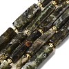 Natural Fuchsite Beads Strands G-D353-A18-2