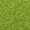 MIYUKI Round Rocailles Beads SEED-X0054-RR0143-3
