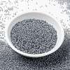 MIYUKI Round Rocailles Beads SEED-G009-RR0240-2