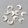 Natural White Shell Beads SSHEL-Q311-004A-01-2