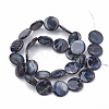 Freshwater Shell Beads Strands SHEL-N020-1-02-3