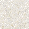 Glass Seed Beads SEED-H002-E-A141-3