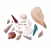 (Defective Closeout Sale) BSHE-XCP0001-02-1