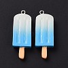 Gradient Color Resin Imitation Food Pendants RESI-H144-11-5