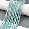 Natural Flower Amazonite Beads Strands G-L587-B06-01-2