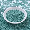MIYUKI Round Rocailles Beads SEED-G007-RR0435-2