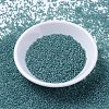 MIYUKI Delica Beads SEED-X0054-DB1283-2
