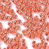 Glass Seed Beads SEED-A033-01B-01-3