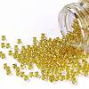 TOHO 11/0 Round Beads SEED-JPTR11-2151S-1