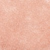TOHO 8/0 Round Beads X-SEED-TR08-0011F-2