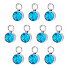 10Pcs Glass Rhinestone Charms STAS-TA0003-26K-1