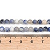 Natural Sodalite Round Bead Strands G-E334-4mm-08-8