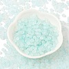 Frosted Glass Beads X1-FGLA-D300-01B-2