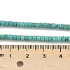 Dyed Natural Magnesite Beads Strands G-M448-C01-01-5