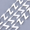 Natural Freshwater Shell Beads SHEL-T012-59Z-1