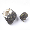 Conch Shell Beads SSHEL-S258-37-2