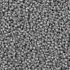 TOHO 11/0 Round Beads SEED-XTR11-PF0565-2