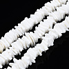 Natural White Shell Beads Strands SSHEL-S266-029-1