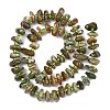 Natural Rhyolite Jasper Beads Strands G-F821-B01-01-3
