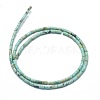 Natural Turquoise Beads Strands G-F631-B13-2