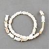 Natural Sea Shell Beads Strands SSHEL-Q296-39-1