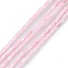 Natural Freshwater Shell Dyed Beads Strands SHEL-M018-12-09-1