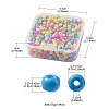 55G 6/0 Baking Paint Glass Seed Beads SEED-FS0001-01-5