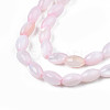 Natural Freshwater Shell Beads Strands SHEL-N003-25-B06-3