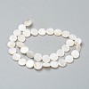 Natural Freshwater Shell Beads BSHE-I011-01E-02-2