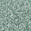 MIYUKI Delica Beads SEED-JP0008-DB0829-3