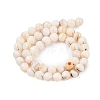 Natural Freshwater Shell Beads Strands SHEL-T011-02-8mm-2