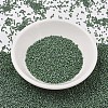 MIYUKI Delica Beads SEED-JP0008-DB2312-2