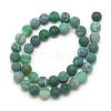 Natural Weathered Agate Bead Strands G-S237-8mm-06-2