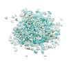 Natural Amazonite Beads X-G-D472-01-1