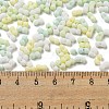 Macaron Color Opaque Frosted Glass Seed Beads SEED-K009-12B-04-4
