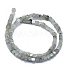 Natural Labradorite Beads Strands G-F631-C08-2