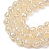 Electroplated Natural Agate Beads Strands G-B191-A07-10mm-02-3