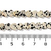 Natural Dalmatian Jasper Beads Strands G-M403-A31-02-5