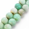 Natural Chrysoprase Beads Strands G-S333-10mm-037-1