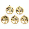 304 Stainless Steel Pendants LS-X-STAS-N092-09G-1