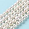Natural Cultured Freshwater Pearl Beads Strands PEAR-E018-06-2