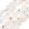 Natural Sunflower Druzy Agate Slice Beads Strands G-K381-A01-1
