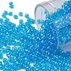 TOHO Round Seed Beads SEED-XTR08-0104B-1