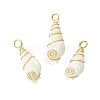Natural Trumpet Shell Pendants PALLOY-JF02794-01-1