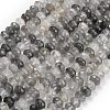 Natural Cloudy Quartz Beads Strands G-C280-A16-02-2
